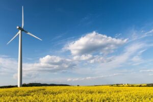 Comment intégrer les critères environnementaux dans les appels d'offres publics ?